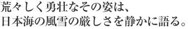 荒々しく勇壮なその姿は、日本海の風雪の厳しさを静かに語る。